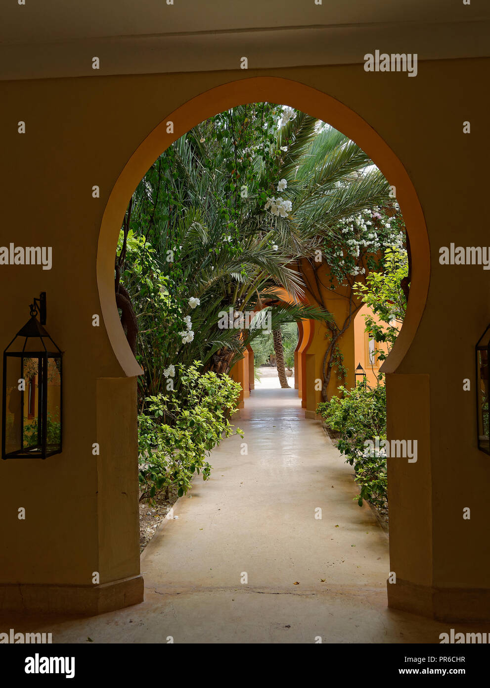 Marokkanisches Arabisch Torbogen und Garten im Innenhof. Stockfoto