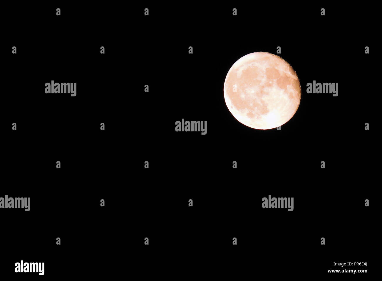 Harvest Moon/Full Moon Stockfoto