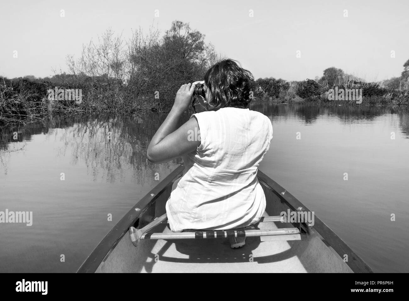 53 Jahre alte asiatische Frau an der Vorderseite eines Kanu seitlich auf der Suche drehen durch ein Fernglas für wilde Leben sitzen, das Kanu ist auf einem blauen Ri Stockfoto