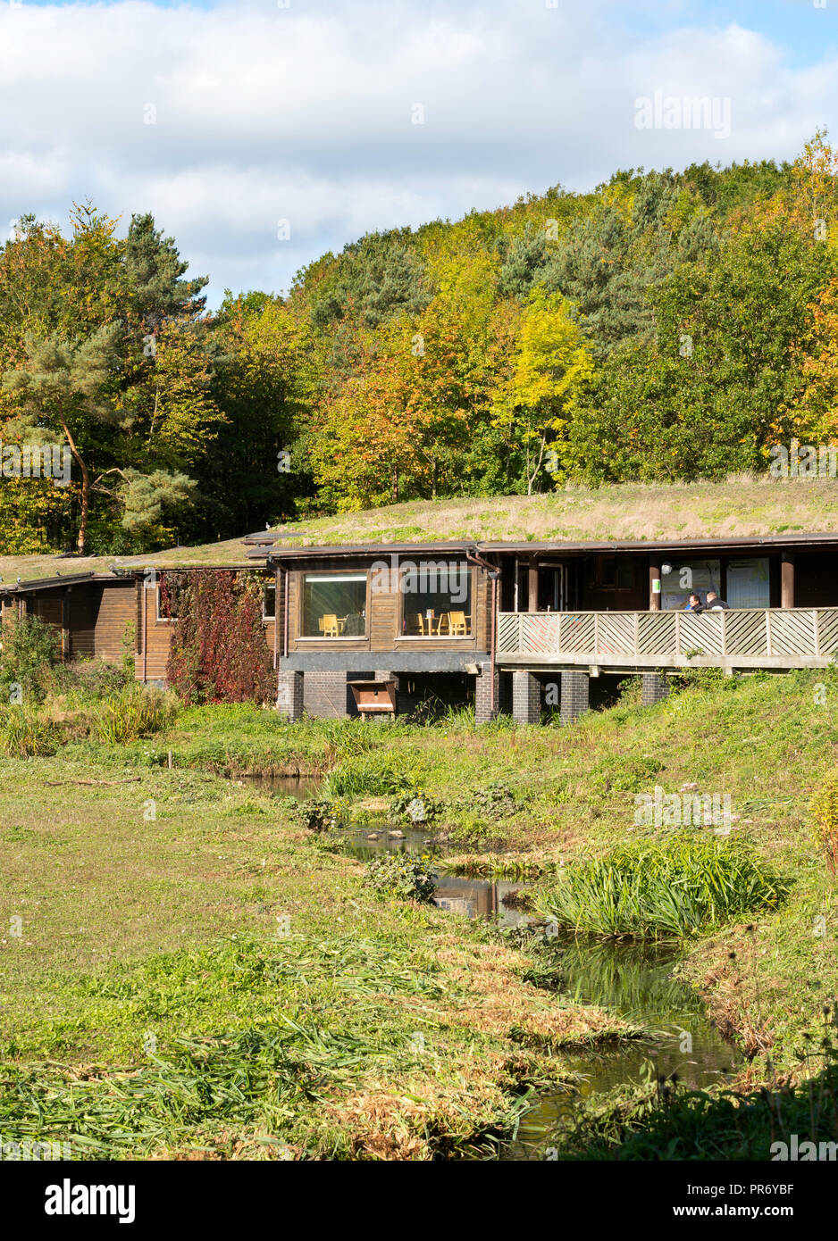 Visitor Center, Washington Wetland Centre, Wildgeflügel und Feuchtgebiete Vertrauen, North East England, Großbritannien Stockfoto