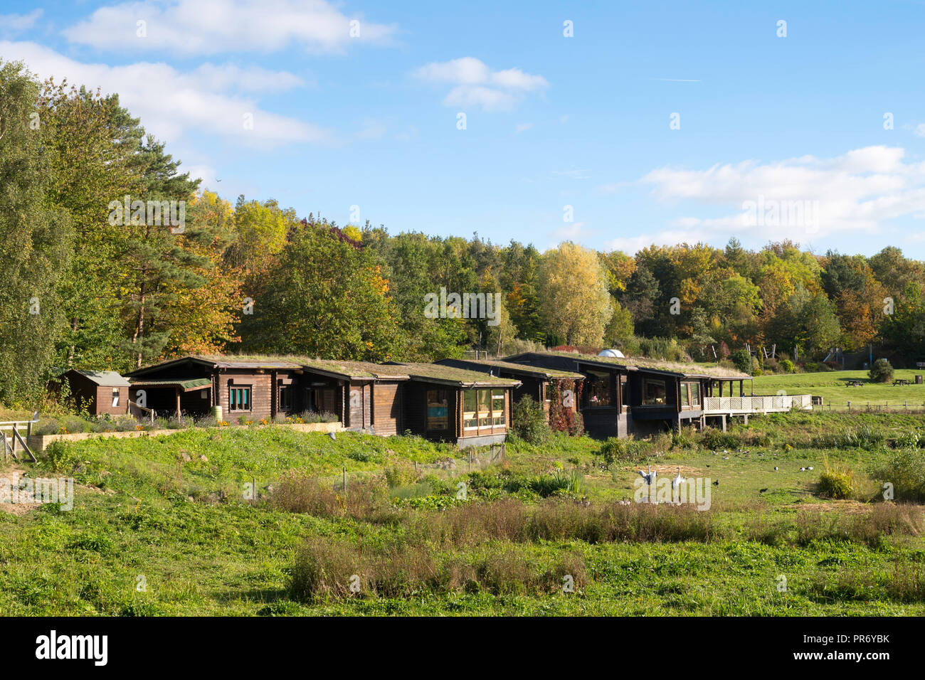 Visitor Center, Washington Wetland Centre, Wildgeflügel und Feuchtgebiete Vertrauen, North East England, Großbritannien Stockfoto