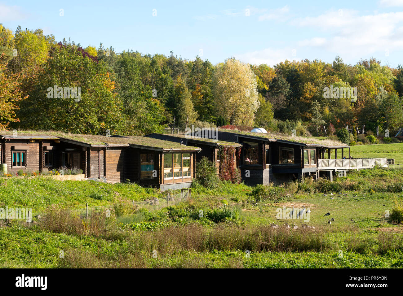 Visitor Center, Washington Wetland Centre, Wildgeflügel und Feuchtgebiete Vertrauen, North East England, Großbritannien Stockfoto