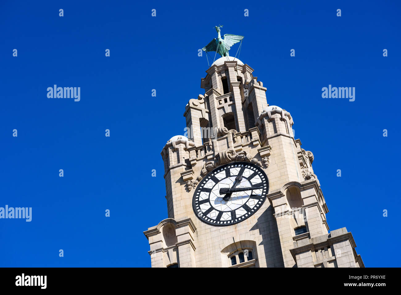 Eine Nahaufnahme des Glockenturms des Leber Gebäudes, Liverpool. Stockfoto