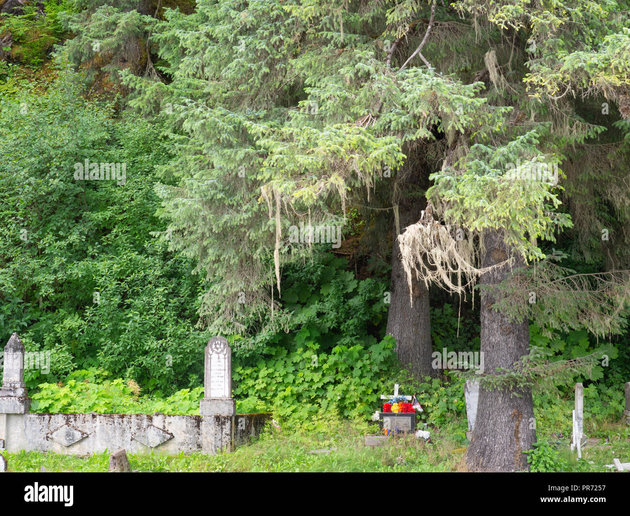 Kleiner Friedhof unter den Bäumen Stockfoto