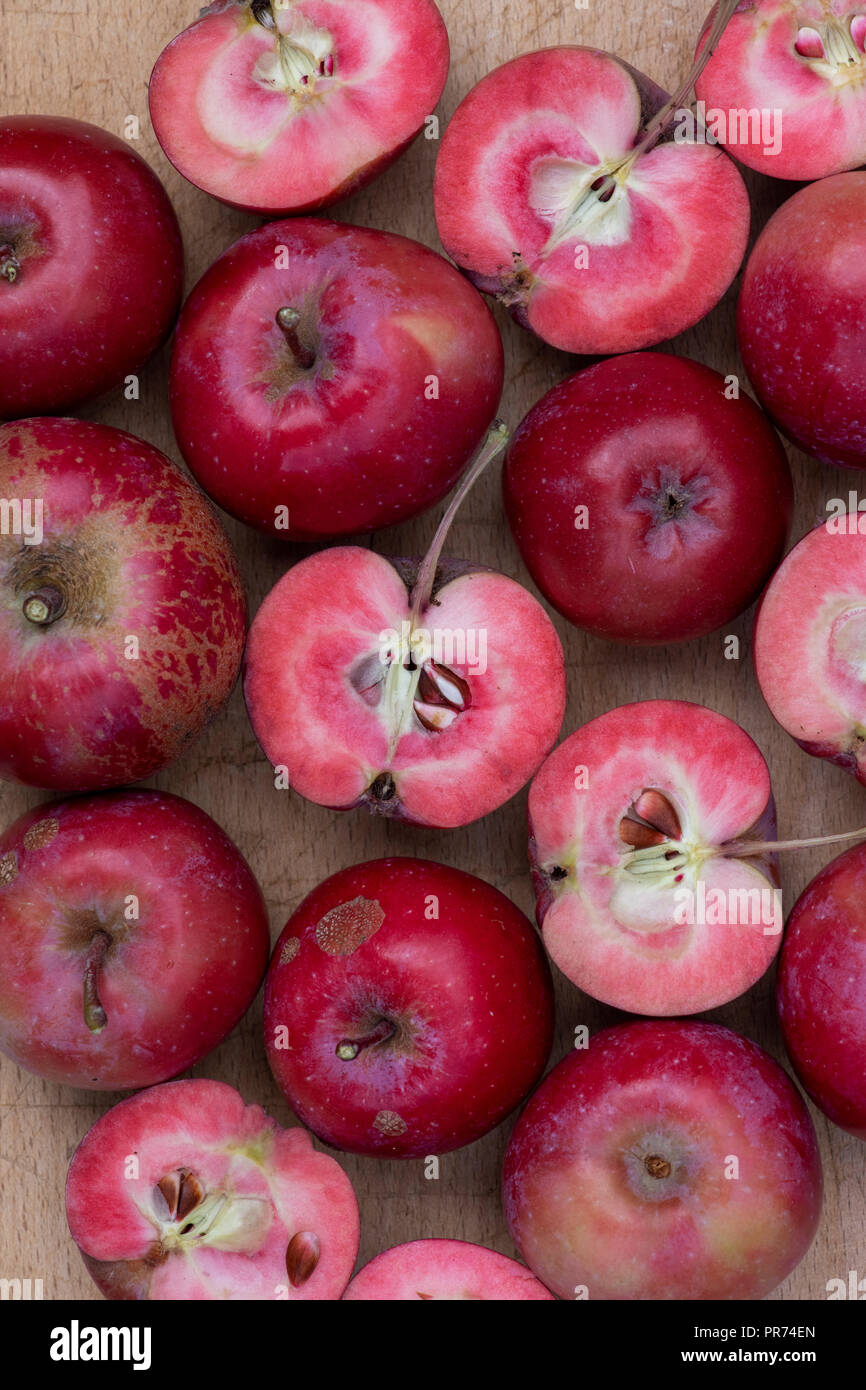 Malus Domestica. Apple' Redlove Era'. "Redlove Era "Äpfel auf einem woodenboard, von denen einige in die Hälfte geschnitten sind das rote Fleisch zu zeigen geerntet Stockfoto