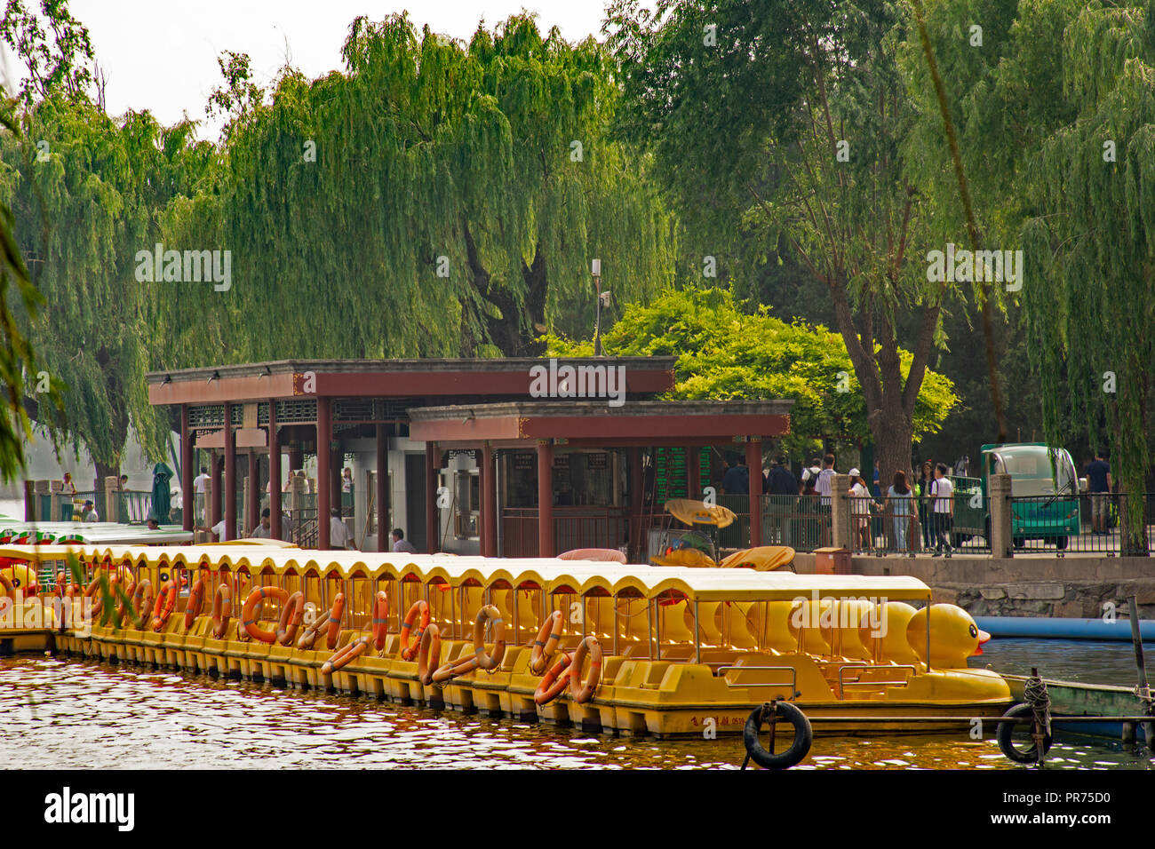 Tretboote in der Taiye See an der Beihai Park, Peking, China Stockfoto
