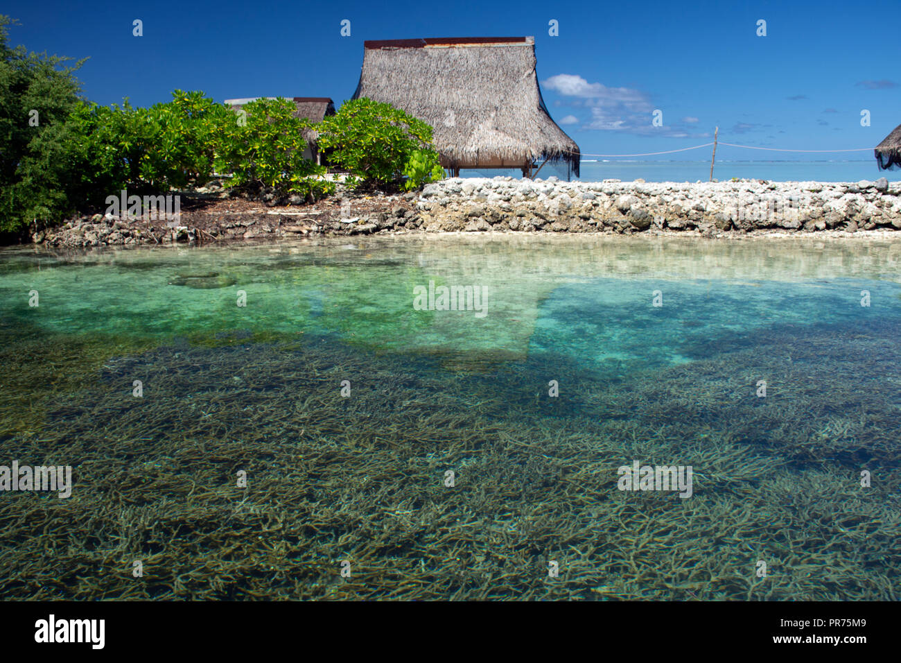 Seichtem Korallenriff, meist Acropora sp. Und typische Mikronesischen Hütte in der Lagune von Pohnpei, Föderierte Staaten von Mikronesien Stockfoto