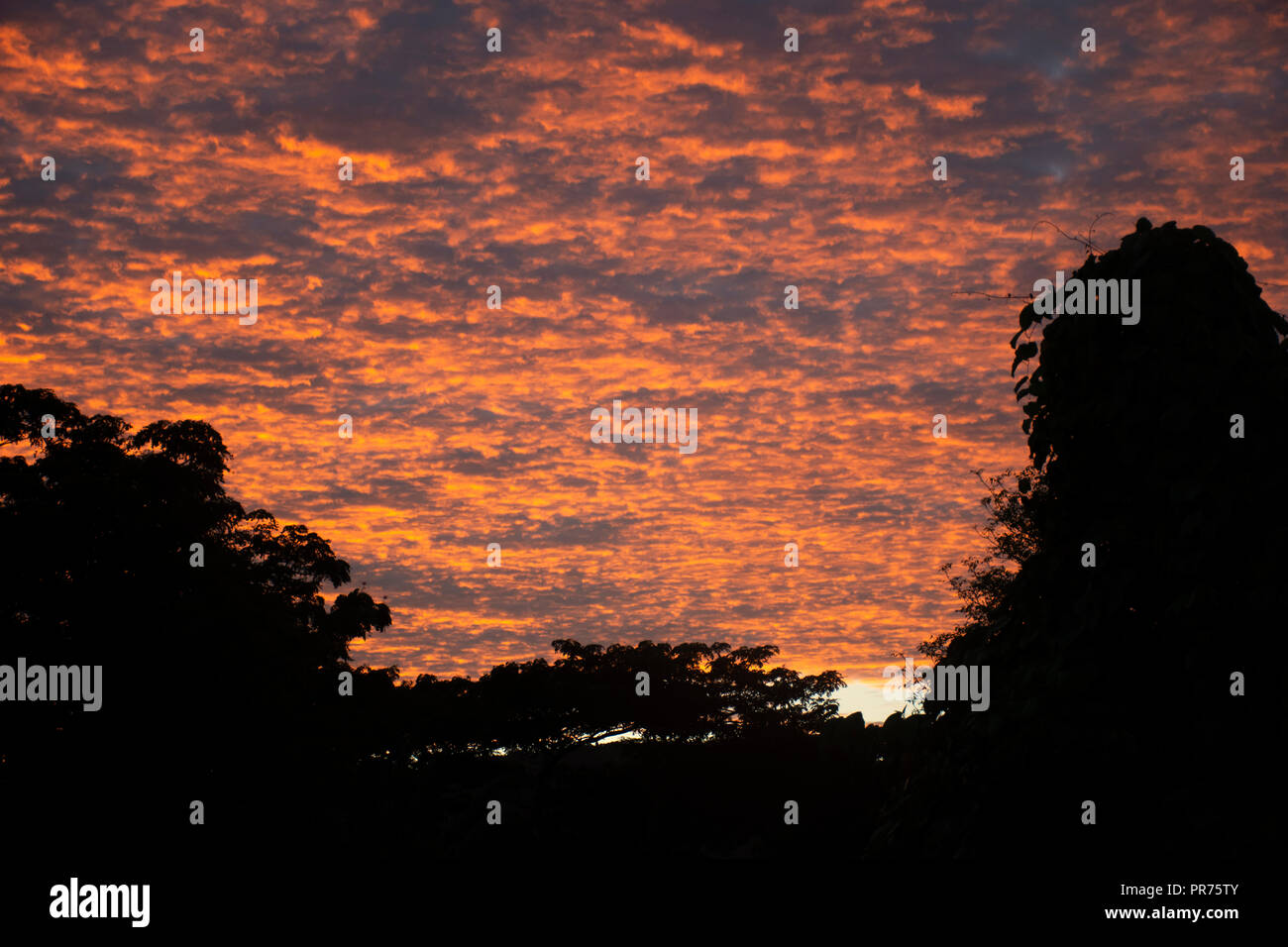 Orange und rosa Wolken bei Sonnenaufgang in Kolonia, Pohnpei, Föderierte Staaten von Mikronesien Stockfoto