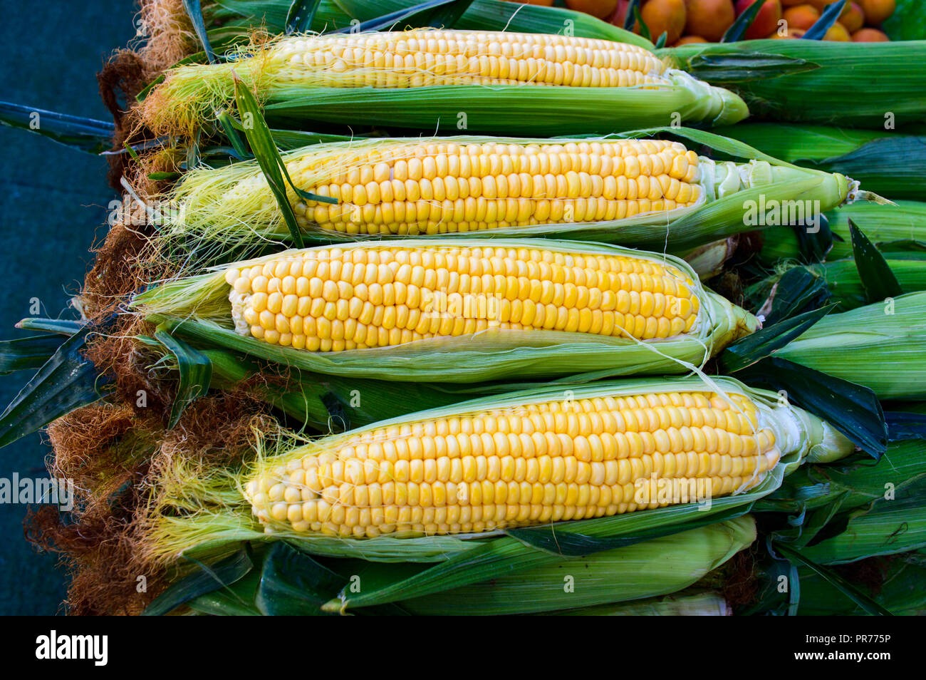 Frische Hühneraugen auf dem Markt in einer Reihe Stockfoto