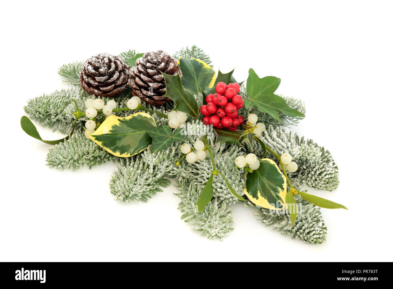 Winter und Weihnachten natrliche Tischdekoration mit Stechpalme Beeren,  Schnee, bedeckt, Efeu, Fichte, Tannenzapfen und Mistel auf weien  Hintergrund Stockfotografie - Alamy