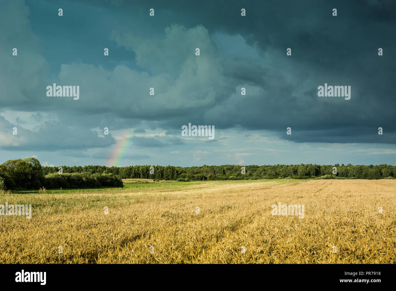 Rainbow und dunkle Wolken über dem Feld Stockfoto