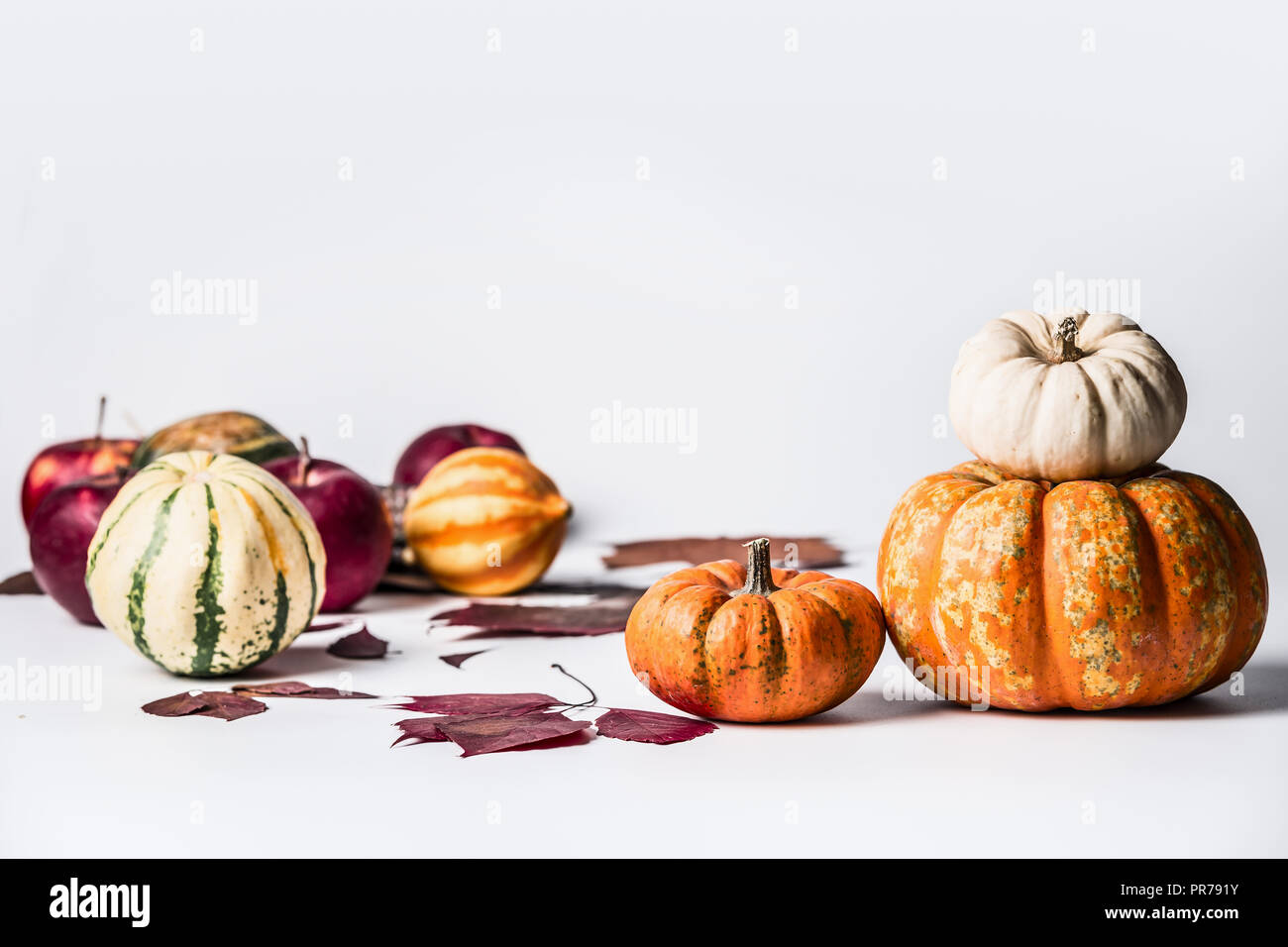 Verschiedene Kürbisse auf weißem Hintergrund mit Herbstlaub, Vorderansicht. Herbst Gemüse, Thanksgiving Essen Konzept Stockfoto