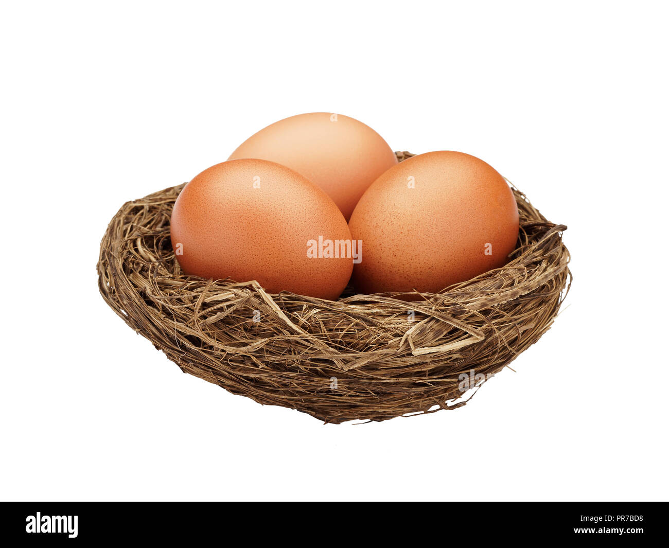 Braune Eier im Nest isoliert auf weißem Stockfoto