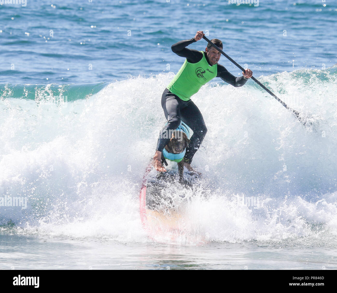 Huntington Beach, Kalifornien, USA. 29, September, 2018. Ivan Moreira mit Bono, seine surf Hund, Reiten Sie die Welle auf ein paddle Board zusammen am 10. jährlichen Surf City Surf Dog Wettbewerb bei Huntington Hundestrand in Huntington Beach, Kalifornien am 29. September 2018 statt. Credit: Sheri Determan/Alamy leben Nachrichten Stockfoto