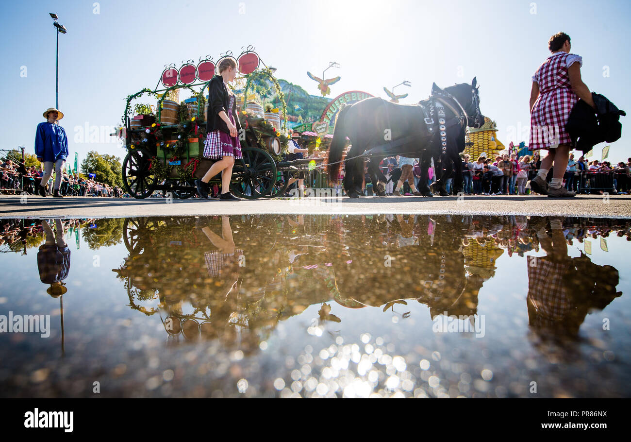 Stuttgart, Deutschland. 30. September 2018. Eine Pfütze spiegelt eine historische Schlitten, der von Pferden über den Cannstatter Wasen während der 200-Jahr-Feier Parade der Cannstatter Volksfest gezogen wird. Quelle: dpa Picture alliance/Alamy leben Nachrichten Stockfoto