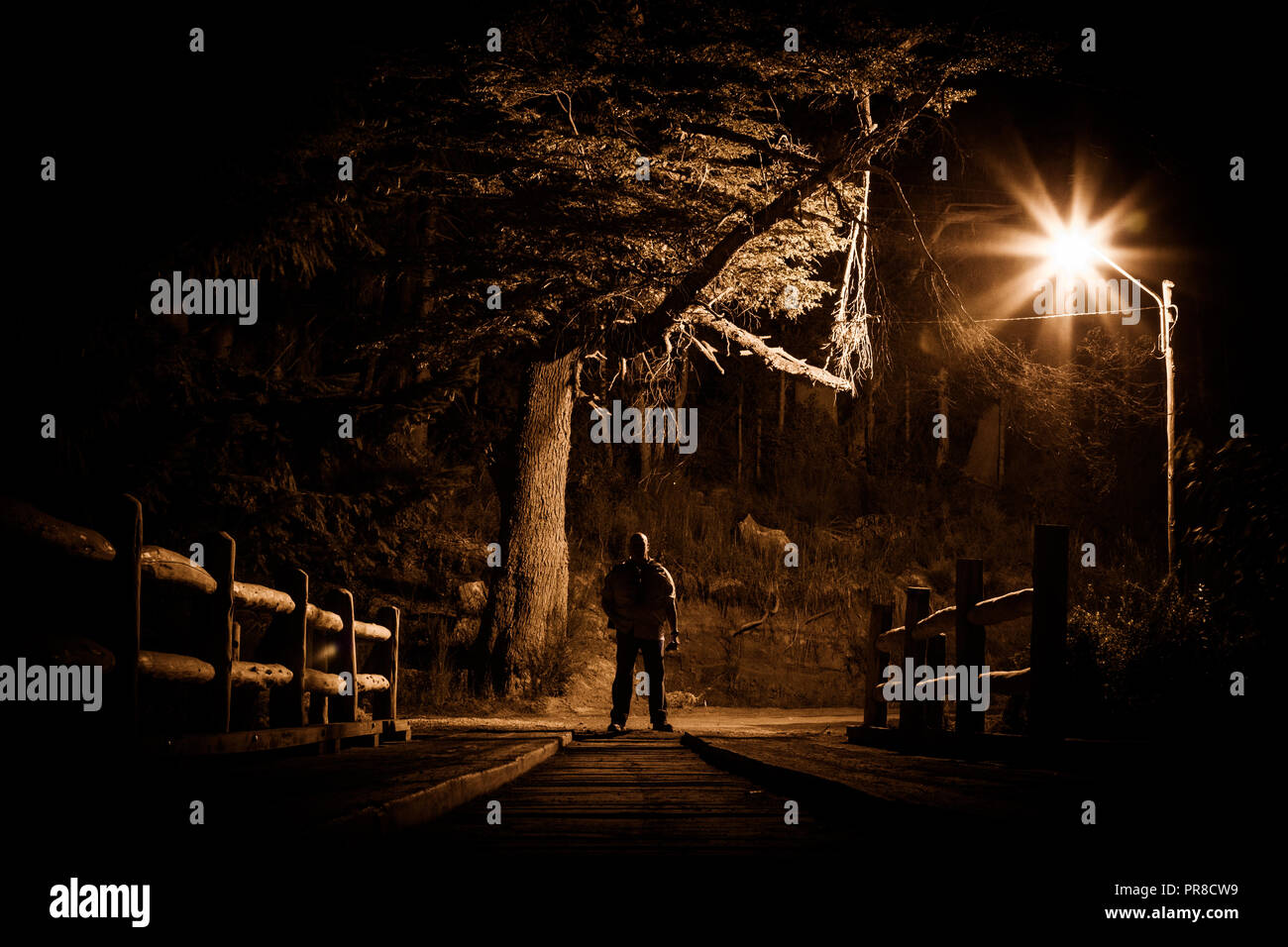 Night Stalker Konzept. Mann stand auf Holz Brücke unter Straße Licht in dunkler Nacht Stockfoto