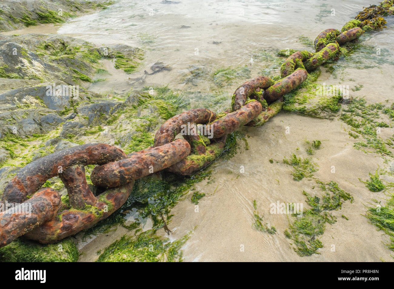 Hafen Szenen rund um Newquay, Cornwall. Sehr große rosten Liegeplatz Kettenglieder. Metapher starke Verbindungen, stärkste Glied, Schmiede links, enge Beziehungen. Stockfoto