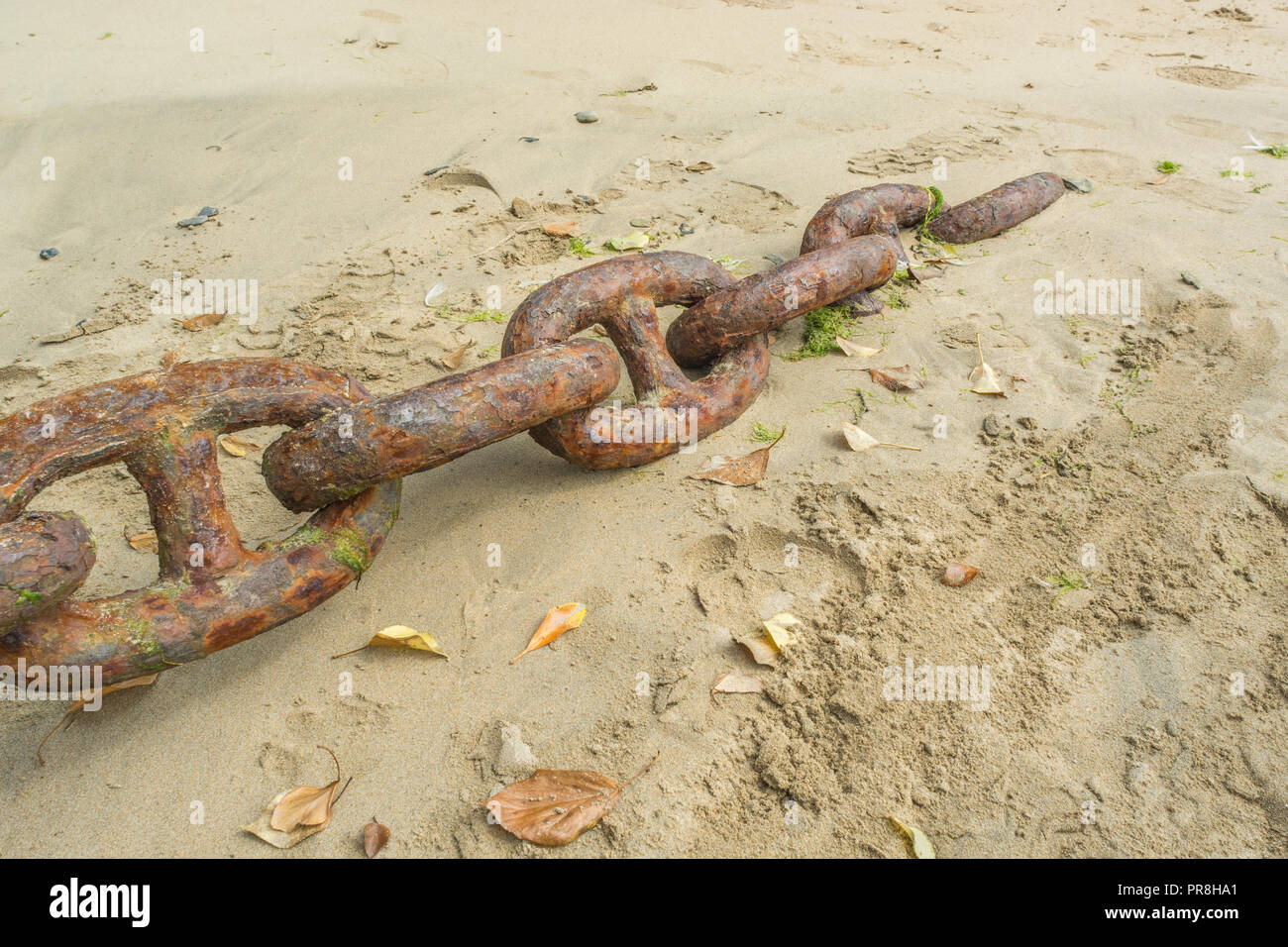 Hafen Szenen rund um Newquay, Cornwall. Sehr große rosten Liegeplatz Kettenglieder. Metapher starke Verbindungen, stärkste Glied, Schmiede links, enge Beziehungen. Stockfoto