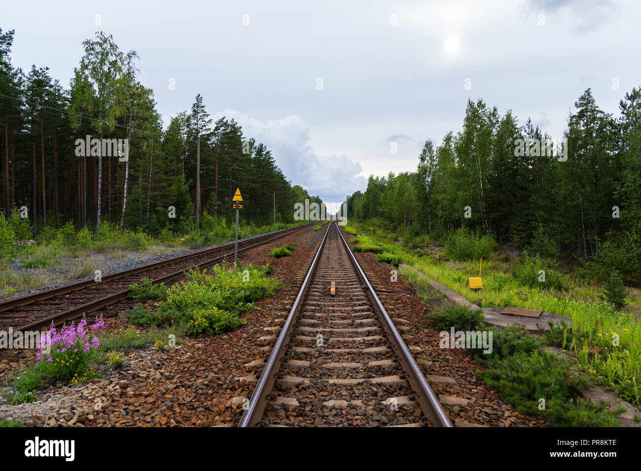 Leere parallel Eisenbahnschienen laufen durch den Wald führenden der Stadt Hanko in Finnland Stockfoto