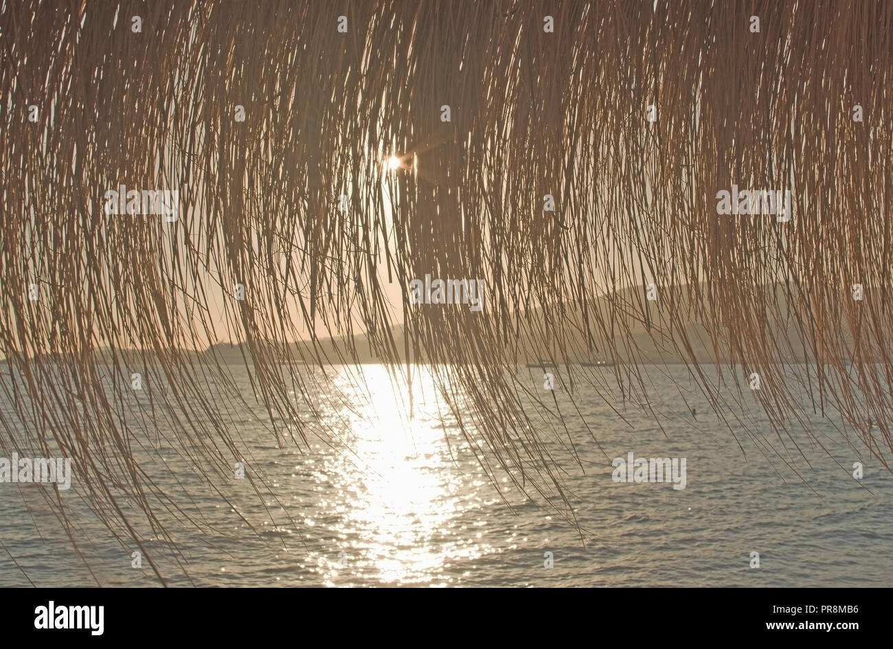 Sonnenuntergang glitzernde Wasser Silhouette bis Strand Stroh Sonnenschirme in Palma de Mallorca, Spanien Stockfoto