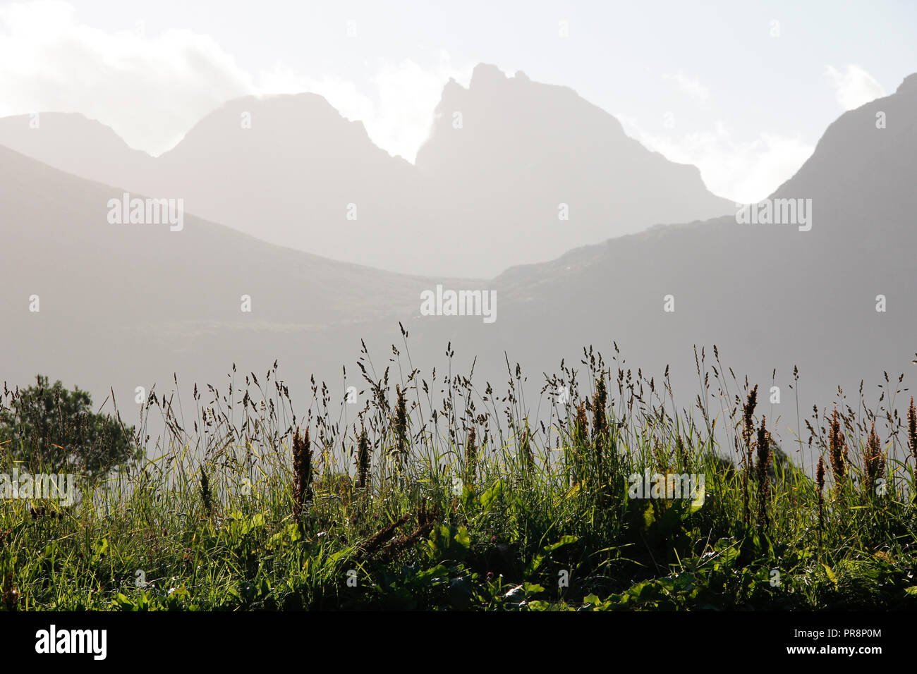 Misty Sommer morgen auf der spektakulären Lofoten Inseln, Norwegen Stockfoto