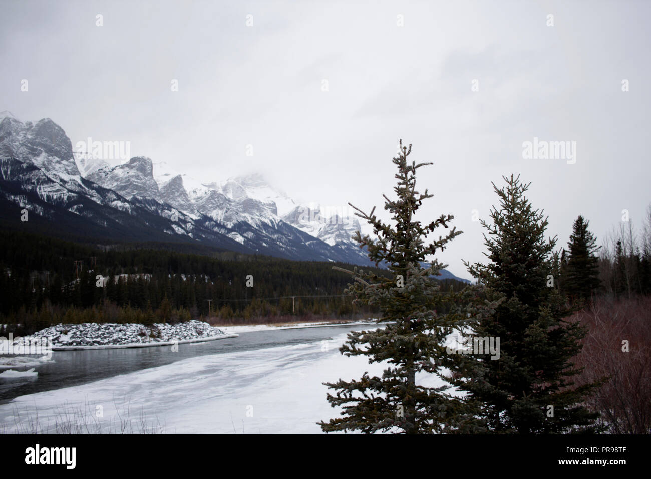 Einem nebligen Tag am Bow River in den Rocky Mountains. Stockfoto