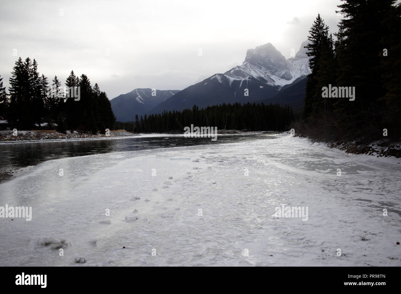 Einem nebligen Tag am Bow River in den Rocky Mountains. Stockfoto
