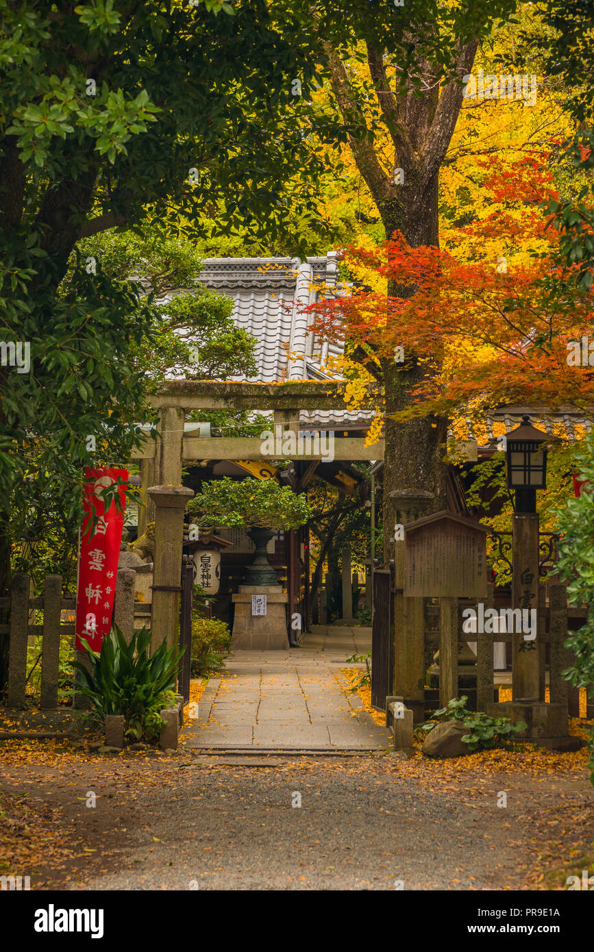 Herbst Blick auf Shirakumo Schrein Eingang in Kyoto Imperial Park Stockfoto