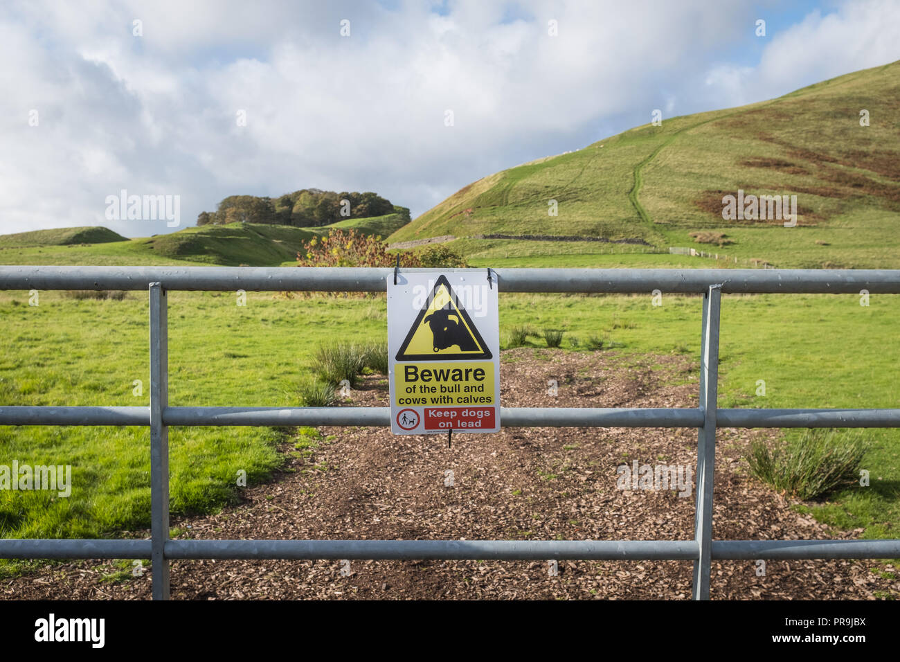 Sicherheitsinformationen an einem Betriebstor in Südwest-Schottland, die der Öffentlichkeit Informationen über sicheres Verhalten in der Nähe von Nutztieren geben. Stockfoto