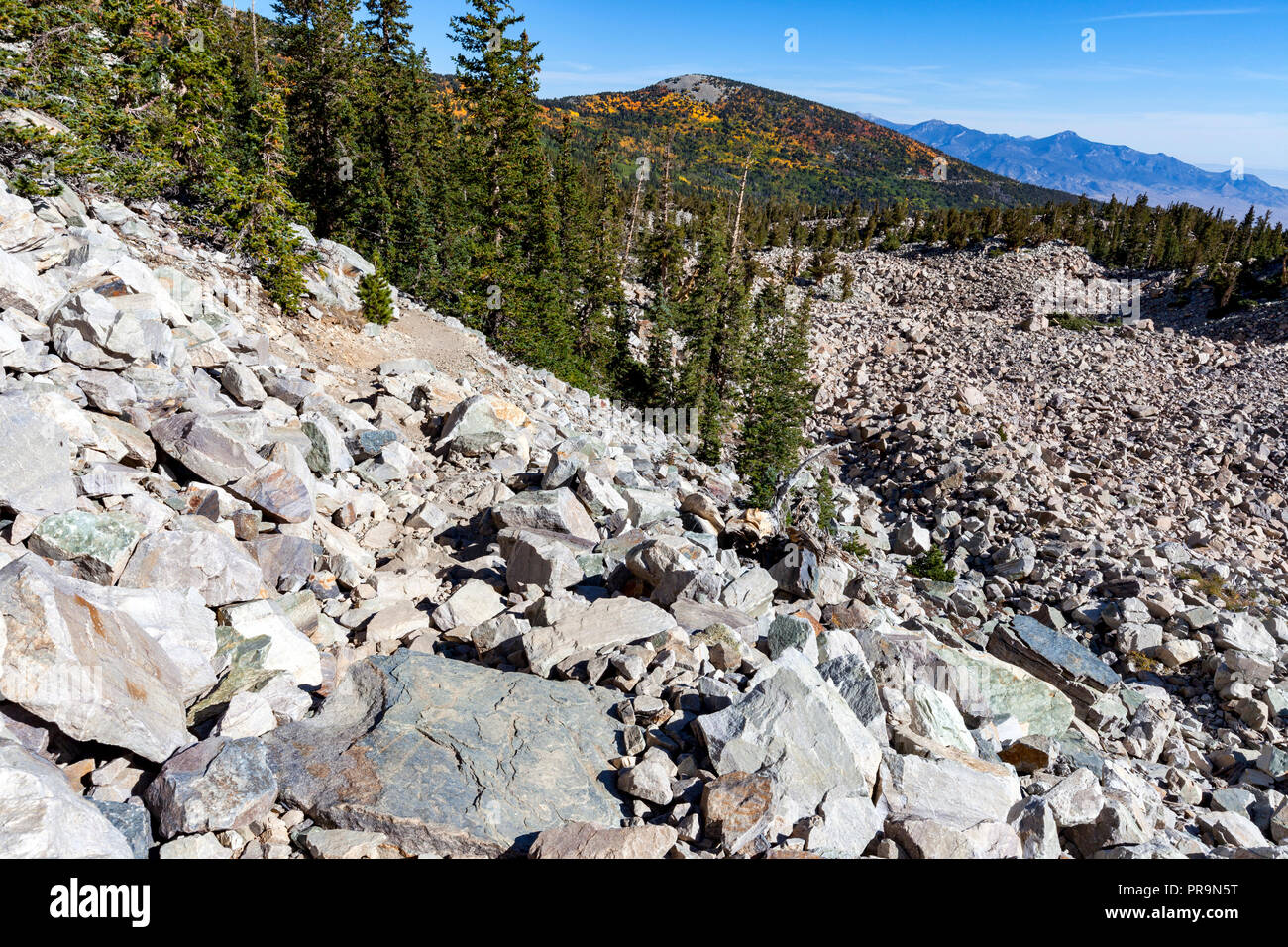 Blick vom Bristlecone Trail im Great Basin National Park Stockfoto