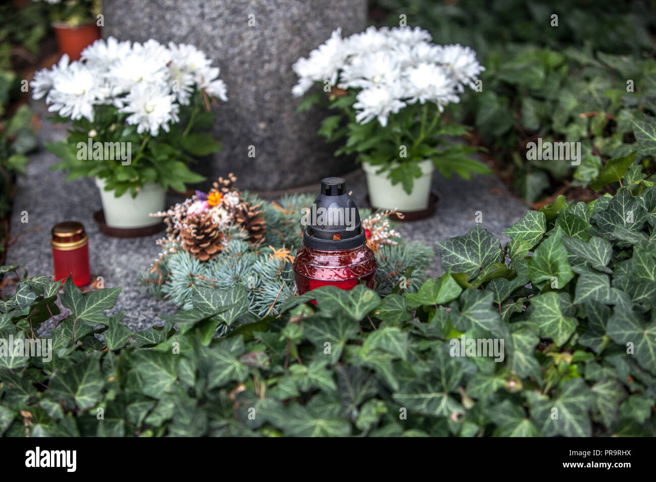 Blumenschmuck der Gräber am Allerheiligen, Tschechische Republik Ganztags-Europa Stockfoto