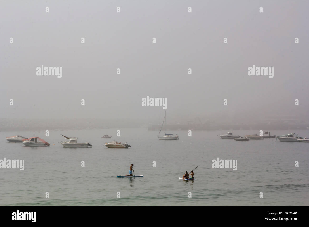 Paddle Surfing im Nebel Stockfoto