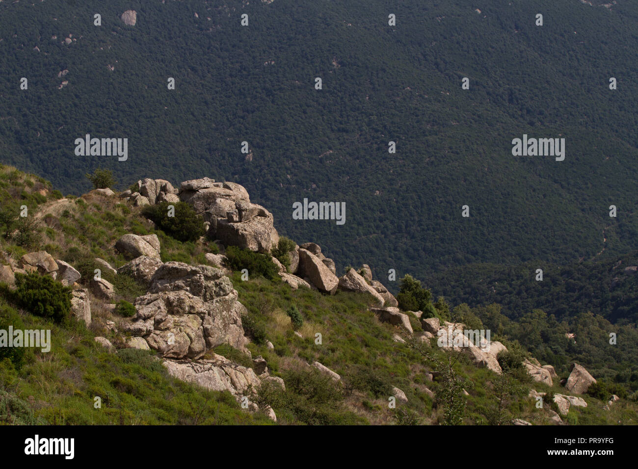 Wunderschöne Landschaft September. Süden von Sardinien, Italien Stockfoto