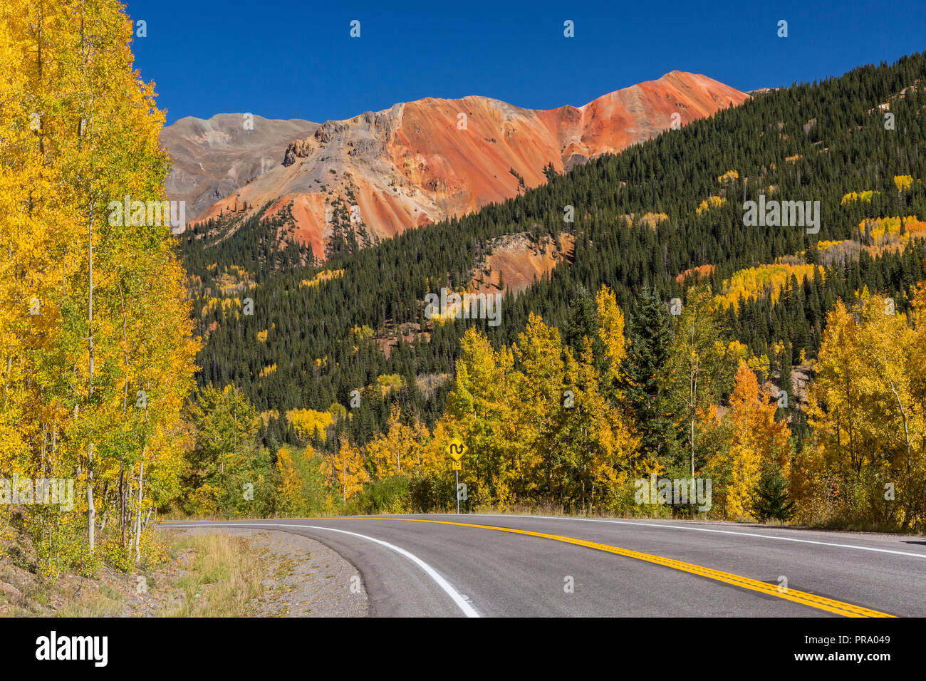 Goldene Espen auf Red Mountain Pass auf die Million Dollar Highway in der uncompahgre National Forest, Colorado. Stockfoto