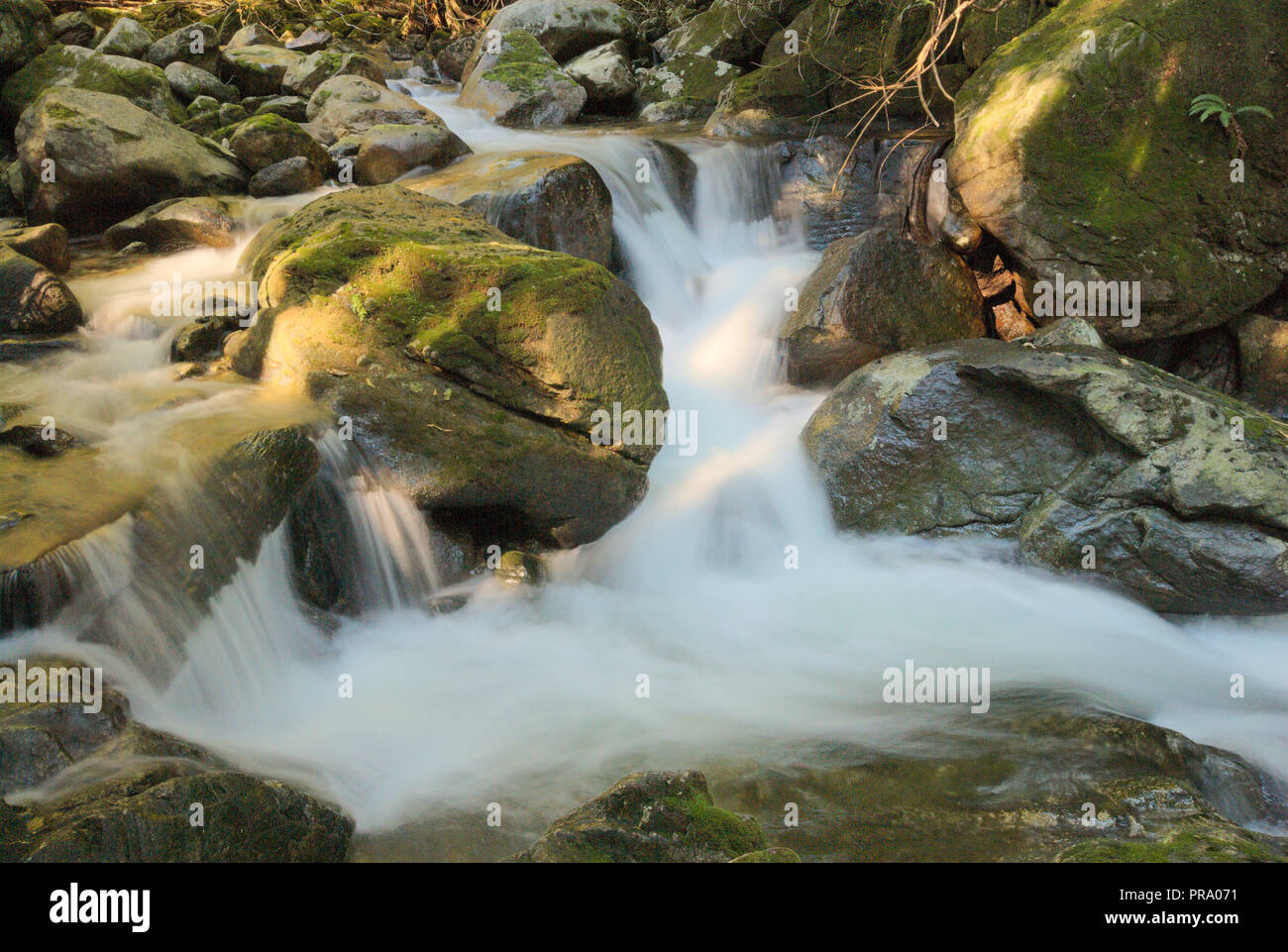 Ein Bach stürzt über Felsen im Wald am Stave Lake in Mission, British Columbia, Kanada Stockfoto