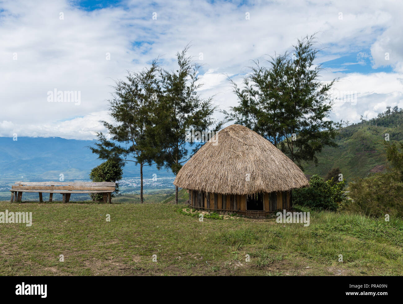 Gras - obere Hütte von native Dani Menschen. Wamena, Papua, Indonesien. Stockfoto