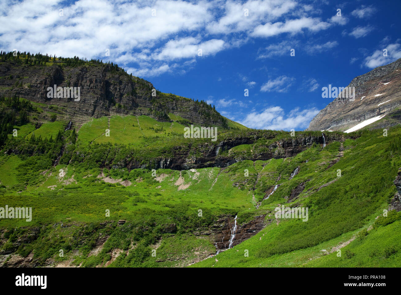 Grünes Gras und Wasserfällen entlang der auf der Sonne Straße im Glacier National Park, Montana, USA Stockfoto