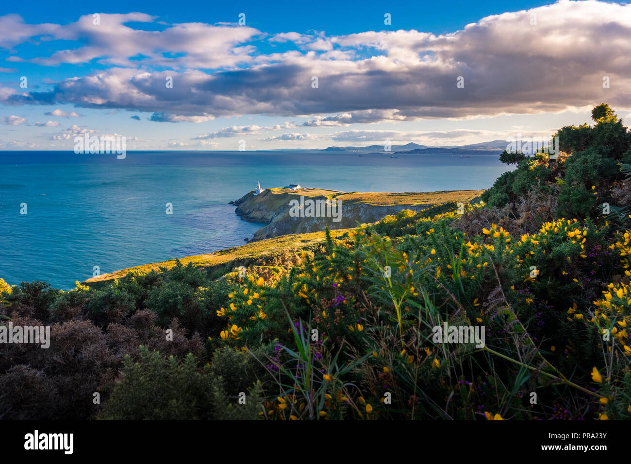 Die schöne Landschaft von Baily Leuchtturm auf Howth, County Dublin, Irland Stockfoto