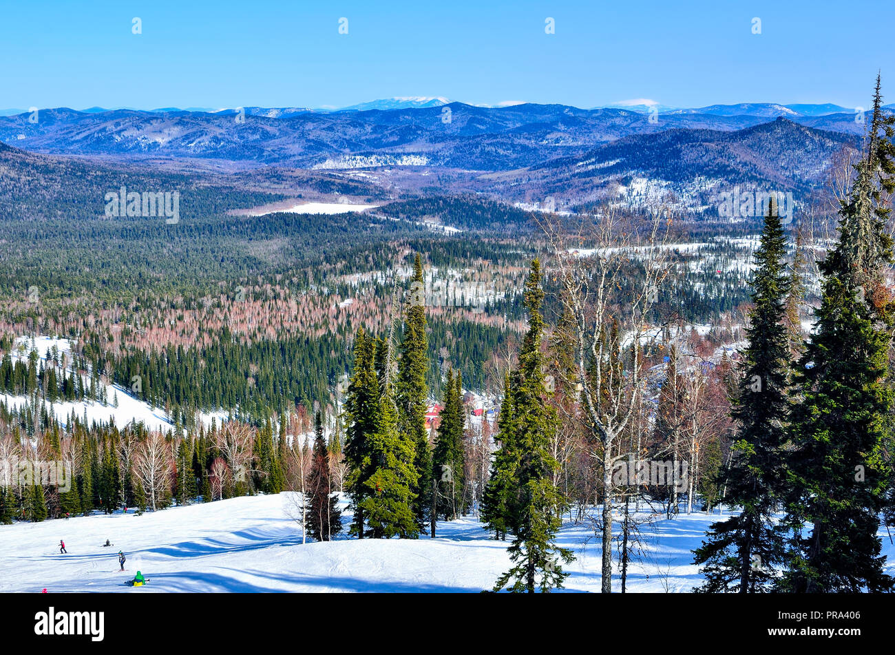 Sonnigen Bergwelt bei ski resort Sheregesh, Russland. Hänge der Berge und Tal mit Nadelwald bedeckt, helle Sonne, flauschige whi Stockfoto