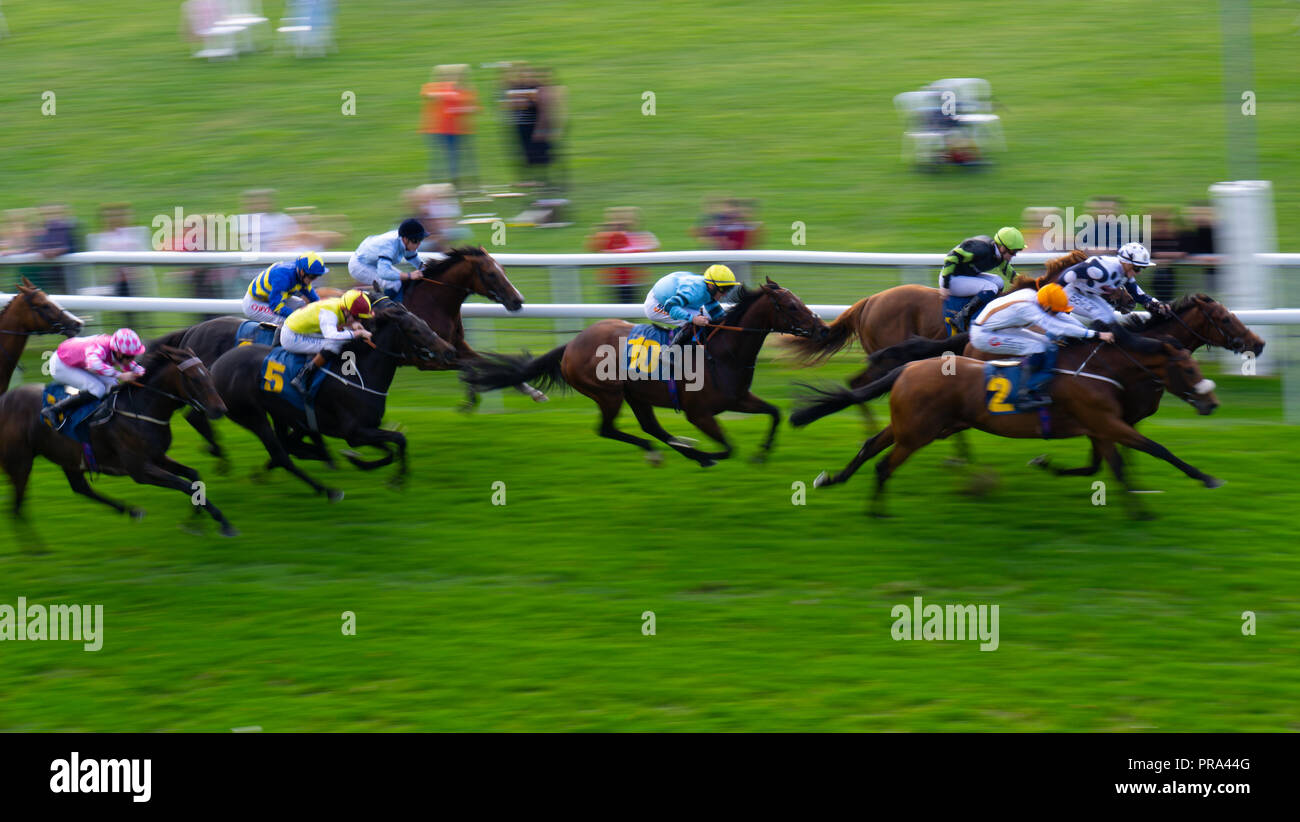 Chester Rennen, September 2018, einen tollen Tag. Stockfoto