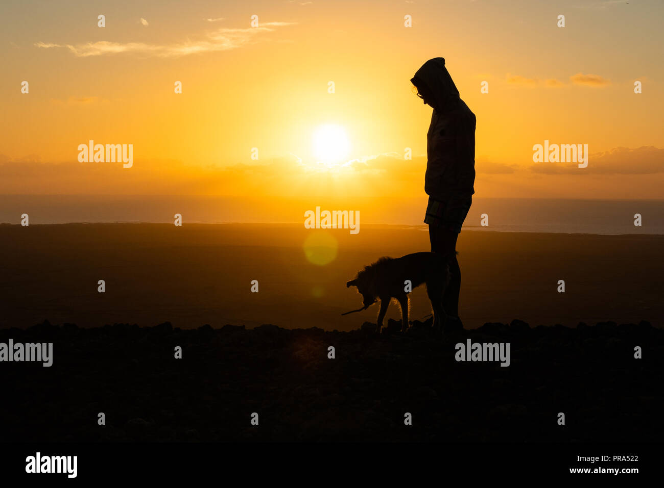 Mädchen spielen mit Ihrem Hündchen, Fuerteventura Stockfoto