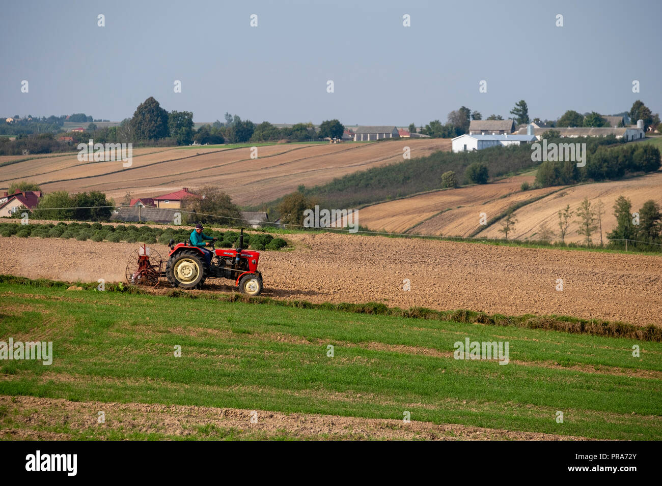 Landwirt in einem Traktor auf einem Feld, Swietokrzyskie region, Polen Stockfoto