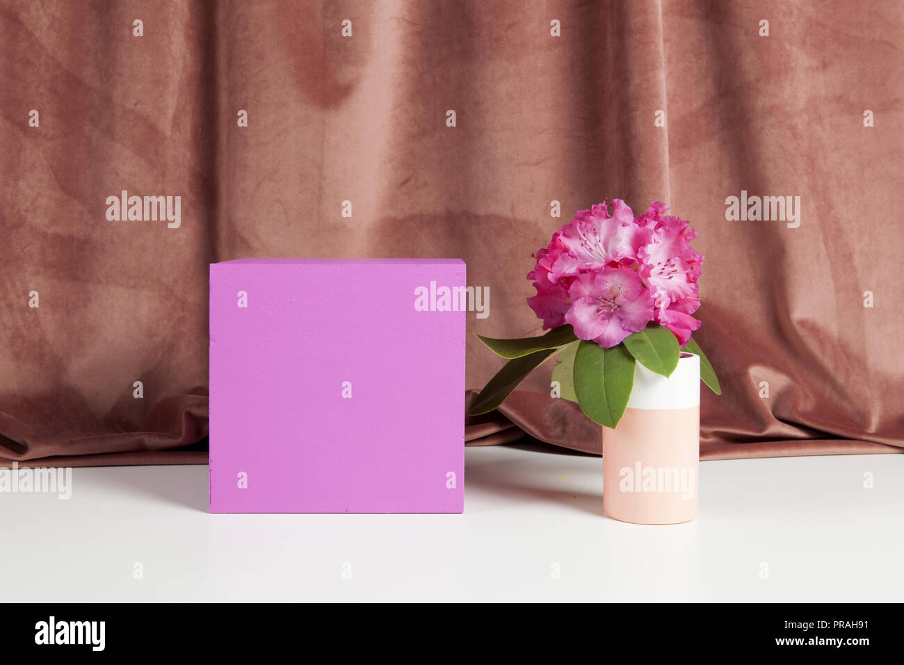 Bicolor Vase mit Blumen rosa Rhododendron im Inneren auf eine rosa farbige Würfel. Minimale noch leben Farbe Fotografie Stockfoto