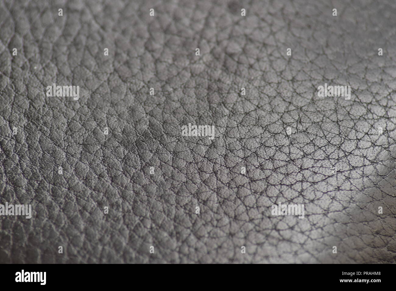 Oberfläche Muster aus Leder Stockfoto