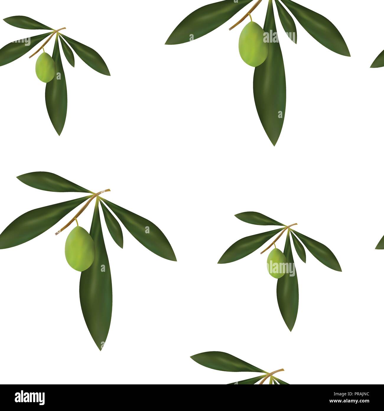 Nahtlose Muster mit grünen Oliven Baum Vektor-Blumen Muster - Weißer Hintergrund Stock Vektor