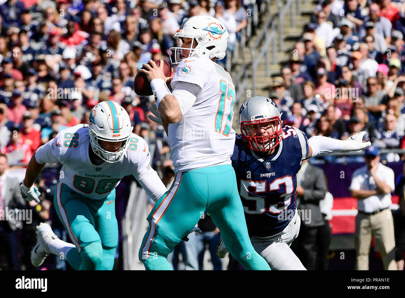 Foxborough, Massachusetts, USA. 30 Sep, 2018. Miami Dolphins Quarterback Ryan Tannehill (17) Sucht einen offenen Empfänger als New England Patriots linebacker Kyle Van Noy (53) Während der NFL Spiel zwischen den New England Patriots und die Miami Dolphins statt am Gillette Stadium, in Foxborough, Massachusetts schließt. Die patrioten Niederlage die Delphine 38-7. Eric Canha/CSM/Alamy leben Nachrichten Stockfoto