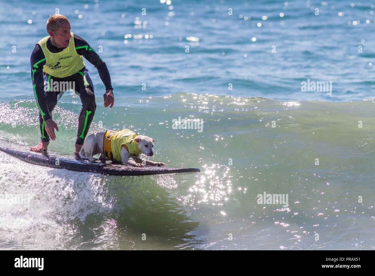 Hunnington Beach, CA, USA. 29 Sep, 2018. Surfcity Surfdog Wettbewerb. Die McKenna Subaru Surf City Surf Hunde", der weltbekannten Premier Event auf dem Hund surfen Stromkreis wird jährlich Ende September in Surf City USA statt. Die Veranstaltung bringt die Gemeinschaft, Surfer, Hundeliebhaber, Familien und Haustiere für einen Tag voller Spaß und Fundraising an einem der unberührtesten Strände Südkaliforniens - Huntington Hund Strand! . Hier gesehen: Ryan und seinem Hund Zucker Quelle: Daren Fentiman/ZUMA Draht/Alamy leben Nachrichten Stockfoto