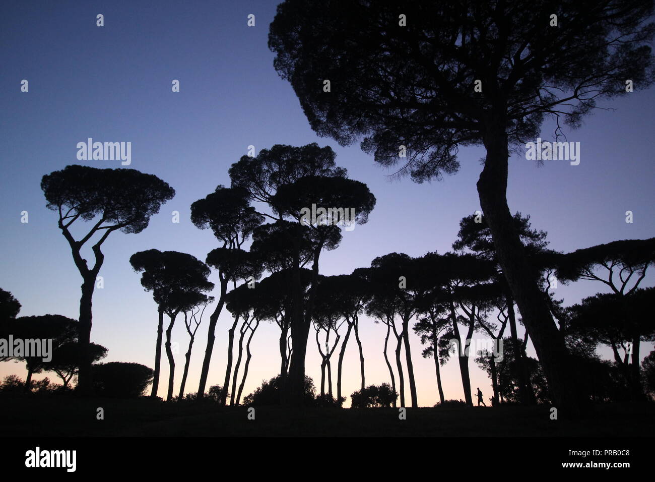 Rom, Italien. 30 Sep, 2018. Die Menschen in der Villa Pamphili Park bei Sonnenuntergang in Rom, Italien: Gari Wyn Williams/Alamy leben Nachrichten Stockfoto