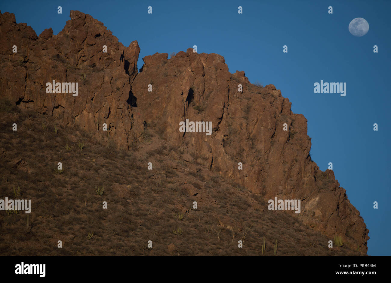 Vollmond, Sonnenaufgang Blick über die orange farbigen Felsen und spärliche Wüstenvegetation in San Carlos, Sonora, Mexiko. Luna Llena, Vista al Amanecer Stockfoto