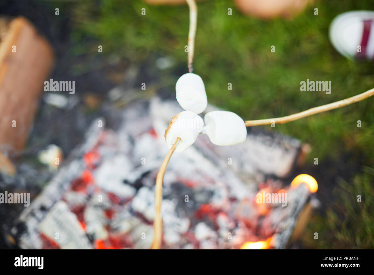 Drei weiße Marshmallows auf Stöcke zusammen über brennenden Lagerfeuer zu braten. Stockfoto